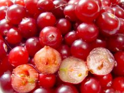 Клюквенный сок может защитить от инсульта